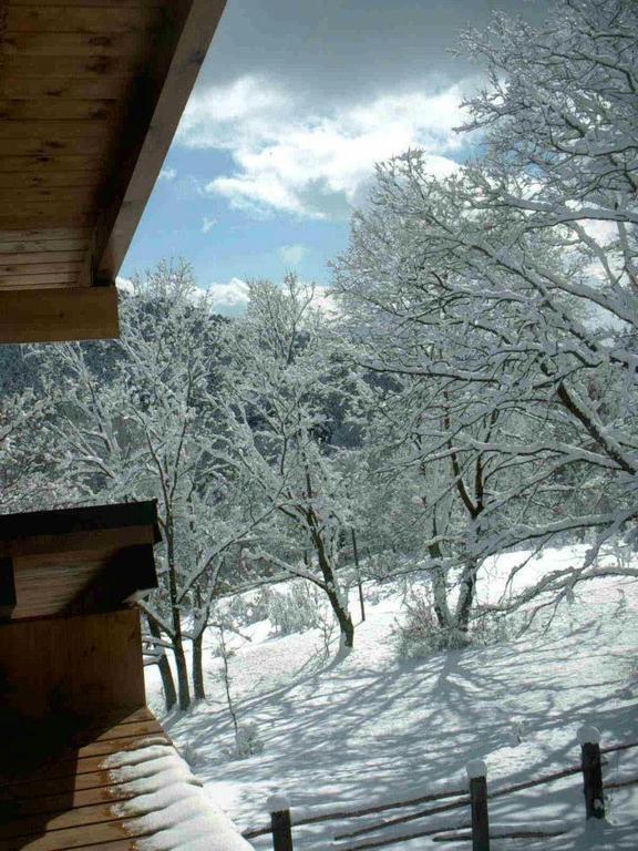Hotel Rural Las Rozuelas 세르세디야 객실 사진